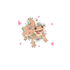 Gecko lovers