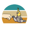 Cockatiels | Cockatiel Pet Gift