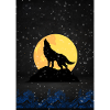 wolf on full moon night