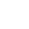 Dropout