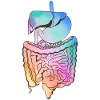 Humorous Gastroenterologist Gastroenterology
