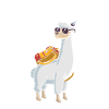Écolier 2022 Lama