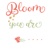Flowers where are you