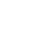 lens icon