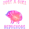 Hérisson Épineux Animal Hérisson