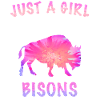 Bison Buffalo Bull Buffalo Bisons