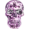 Calavera
