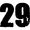 29 number jersey