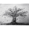 Herbst, Apfelbaum