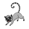 Lemur for children