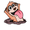 Câlin de suricate mignon