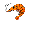 Shrimp shrimp