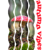 autumn 61 fly agaric