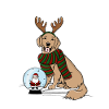 Merry Dogmas!