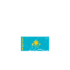Kazakhstan Kazakh flag Kazakhstan