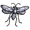 Fly