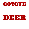 Coyote Hunting Coyote Gift
