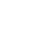 1995 Limitierte Auflage