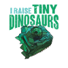 Chameleon Lizard Reptile Herpetologist