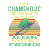 Chameleon Lizard Reptile Herpetologist