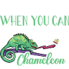 Chameleon Lizard Reptile Herpetologist
