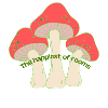 Funny mushroom t-shirt