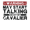 Apropos Kavalier