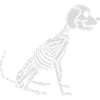 Skeleton Dog Halloween Design