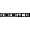 in dog years Dead