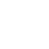 logo dlv blanc simple