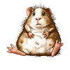 Funny Irish Crested Guinea Pig