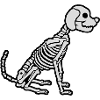 Halloween Skeleton Dog Design