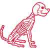 Cool Skeleton Dog Design