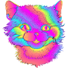 Psycho cat