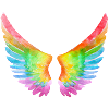 Rainbow Wings