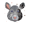 Rat Polygon