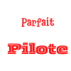 Pas parfait mais pilote