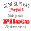 Pas parfait mais pilote