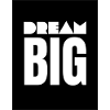 DREAM BIG