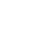 Bella Dog Shirt