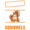 Warning Squirrel Grey Squirrel