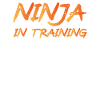 Ninja Im Training Japan