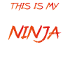 This is my lazy ninja costume