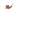 Snail Heartbeat