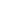 Ninja japan mode
