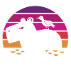 Hippopotamus - Sunset - Flusspferd - Nilpferd