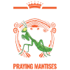 Gottesanbeterin Geschenk Mantis Fangschrecke