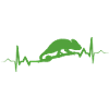 Chameleon Heartbeat Gift Pets