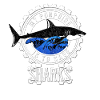 Shark Sharks Diver Shark