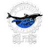Dolphin Dolphins